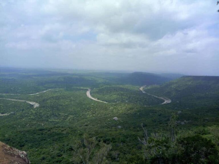 Shimba Hills Reserve Day Trip: From Mombasa and Diani - The Practical Details & What You Should Know