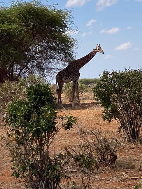 Shimba hills tropical rain forest day trip - What’s Included & What’s Not