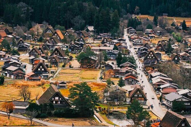 Shirakawa Ono Gifu Bus Tour Experience - Price and Value