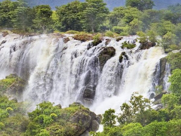 Shivanasamudra Waterfalls & Ancient Somnathpur Tour - Analyzing the Value