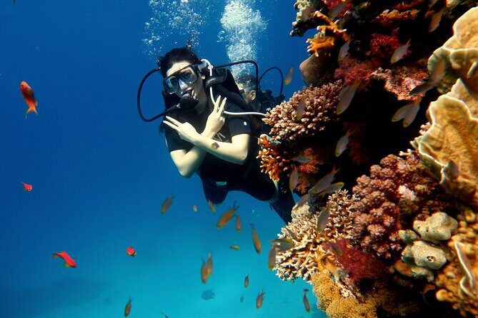Shore Dives in Sharm El Sheikh Red Sea - The Sum Up: Is It Worth It?