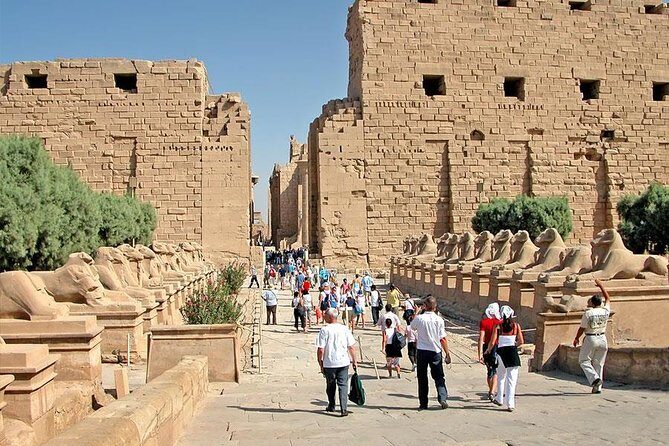 Shore Excursion: Day tour to Luxor from Safaga port - What’s Included & What’s Not