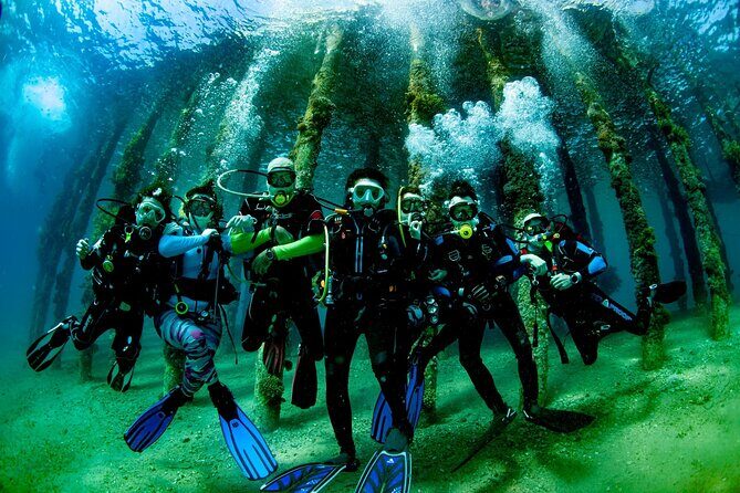 Shore PADI SCUBA Open Water Course - Analyzing the Value
