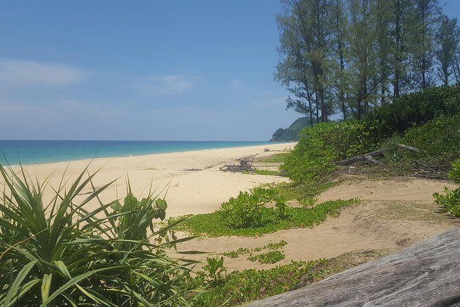 Shoreline Cruise and Secluded Beach - Why This Tour Works
