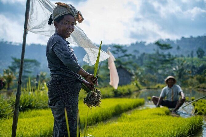 Sidemen Trekking: A Walk from Different Perspective - The Experience: Authenticity, Views, and Education