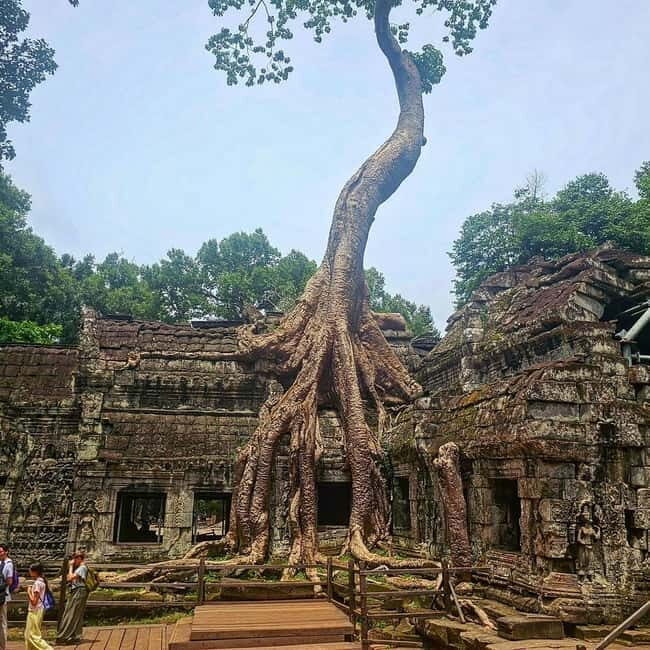 Siem Reap: 1-day group tour of Angkor with Spanish tour guide - Why Travelers Love This Tour