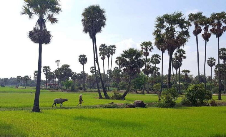 Siem Reap: 6-Hour Easy Rider Motorbike Tour - Practical Details & Tips