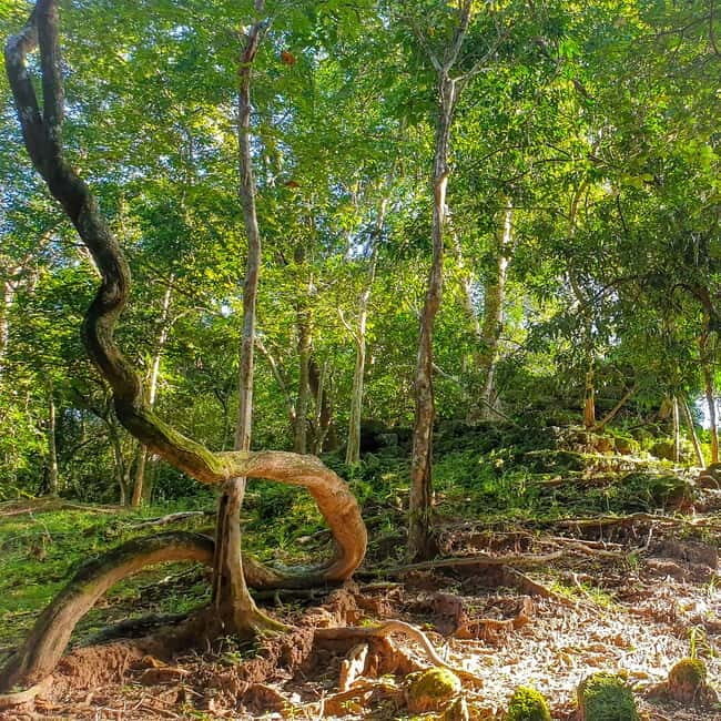 Siem Reap: Angkor Temples Off the beaten track Photo Trip - Why This Tour Might Be Perfect for You