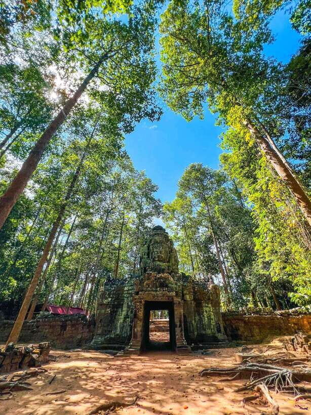 Siem Reap: Angkor Wat for Three Days Tour - Transportation, Group Size, and Overall Value