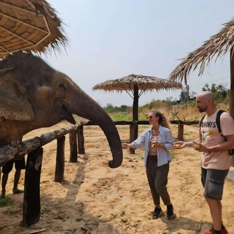 Siem Reap: Elephant Sanctuary Included Hotel Pickup Drop-off - What to Expect: Practical Details