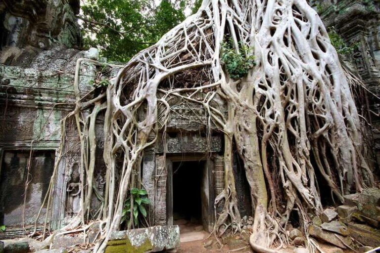 Siem Reap: Private Tour of Angkor Complex - Key Points