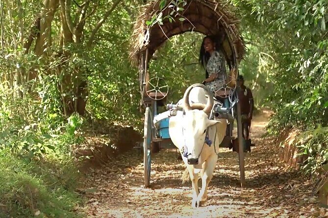 Sigiriya and Dambulla Private Day Tour by Tuk-Tuk or Car - Who Will Love This Tour?