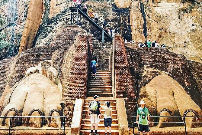 Sigiriya and Minneriya Great Escape - What to Expect on the Safari