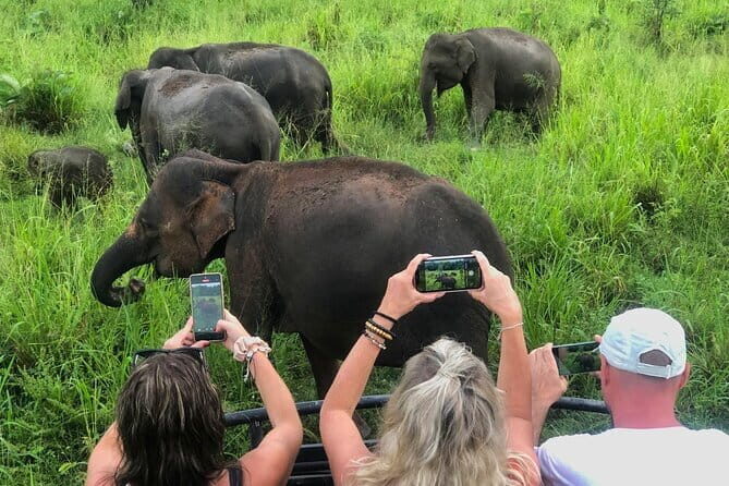 Sigiriya Rock, Village Tour and Wild Elephant Safari Sri Lanka - Key Points
