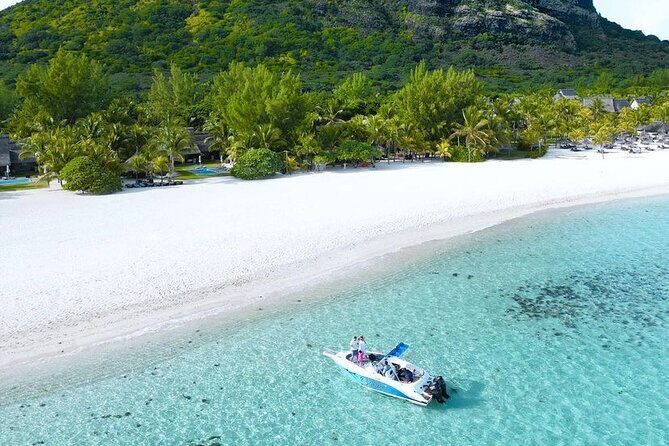 Signature Experience: Dolphins and Flavors of the Sea - The Itinerary: What Youll Experience