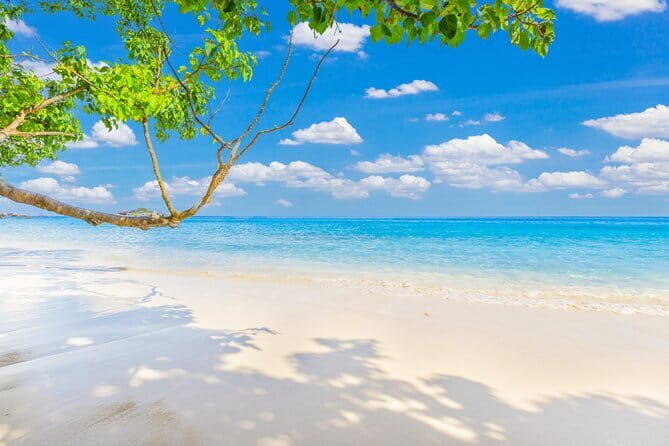 Similan Islands Full Day - Premium - Final Thoughts: Is This Tour Worth It?