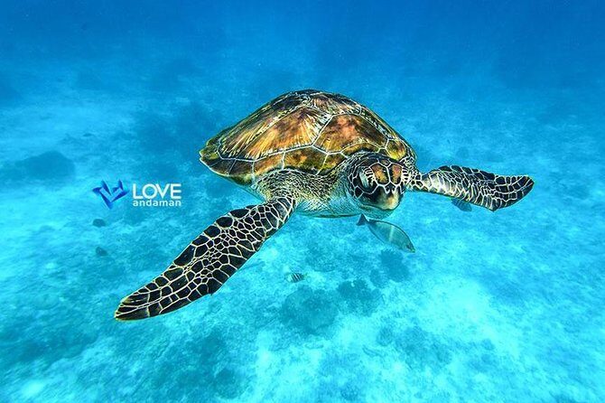 Similan Islands Snorkeling Day Trip By Love Andaman From Phuket - Price and Value