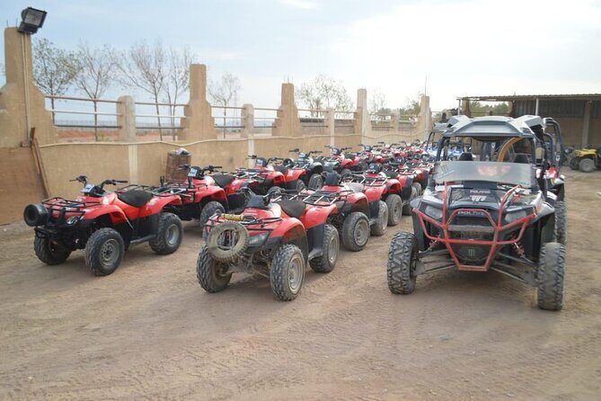 Sinai Desert Adventure Quad Bikes/ATV & Family Car Buggy - The Value Proposition