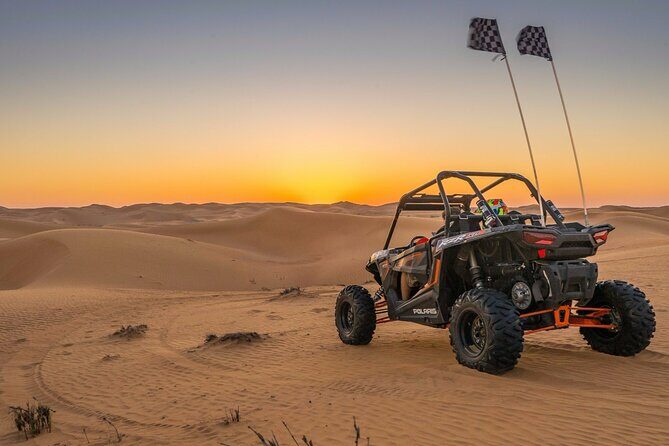 Sinai Desert Private Adventure Car Buggy From Sharm El Sheikh - The Experience: A Closer Look