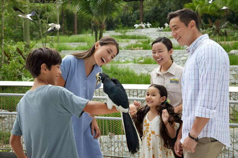 Singapore: Bird Paradise Entry Ticket - The Practical Side: Pricing, Timing, and Tips