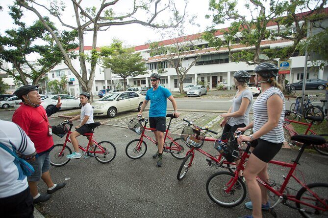 Singapore Full-Day Bike & Food Tour ( Private Tour ) - The Food Portion: Tasting and Exploring