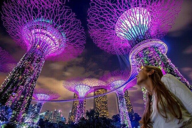 Singapore Guided Night Tour with 2 Light Shows & River Cruise - Practical Insights and Tips