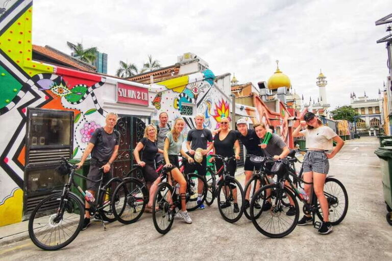 Singapore: Historical Half-Day Bike Tour - The Experience in Detail