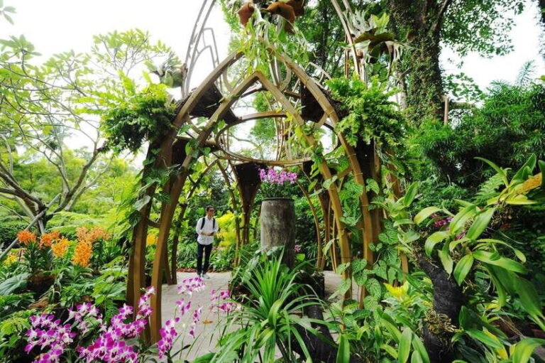 Singapore: National Orchid Garden Entry Tickets - How to Enter and What You Need to Know