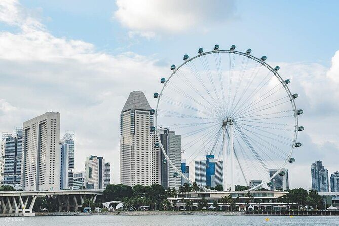 Singapore Panoramic Sightseeing Private Tour with River Cruise - Analyzing the Value