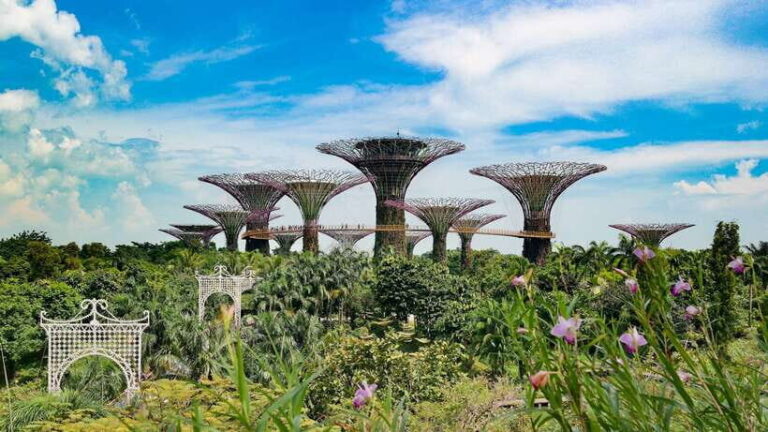 Singapore: Private Flexible Tour with a Licensed Local Guide - A Deep Dive into the Experience