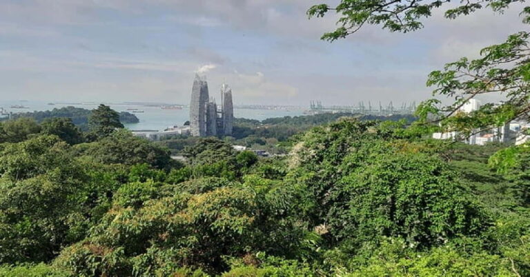 Singapore: Private Full-Day Island Tour - Why This Tour Works for Travelers