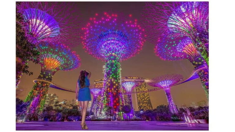 Singapore River Cruise, Spectra & Garden Rhapsody Light Show - Who Will Love This Tour?