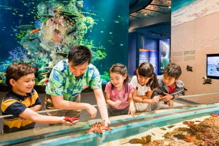 Singapore: Singapore Oceanarium Entrance E-Ticket - Diving into the Attractions