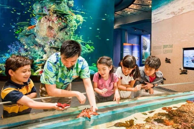 Singapore: Singapore Oceanarium Entrance E-Ticket - Diving into the Attractions