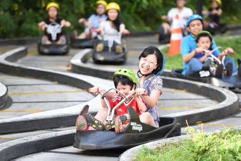 Singapore: Skyline Luge Sentosa Tickets - Why This Experience Matters
