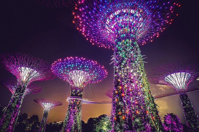 Singapore Starry Night : Cruise, Garden Rhapsody & Spectra Show - What Travelers Say: Experiences and Insights