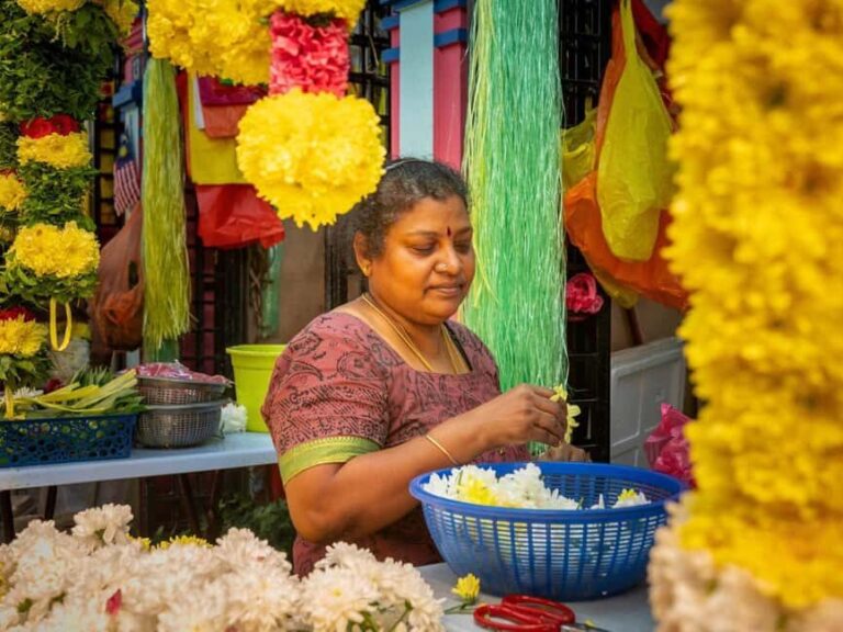 Singapore: Temples, Chinatown and Little India Private Tour - Who Will Enjoy This Tour?