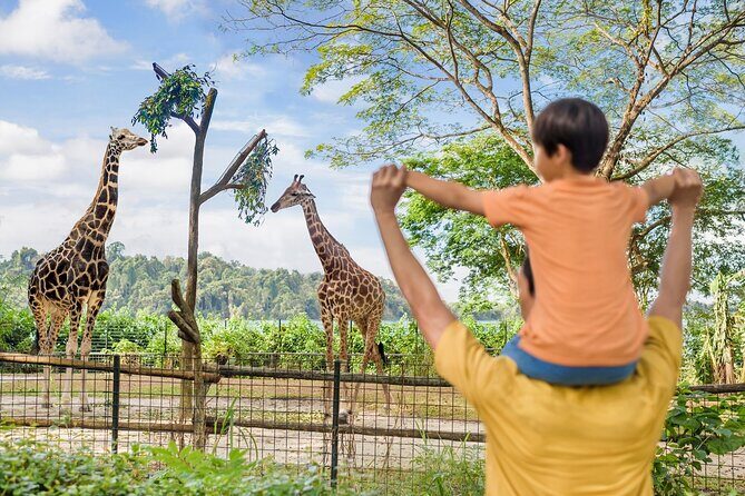 Singapore Zoo Entry Ticket - The Reviewers Perspective