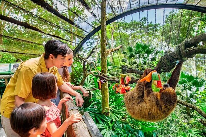 Singapore Zoo & Night Safari Day ( Tickets & Transfer ) - The Sum Up