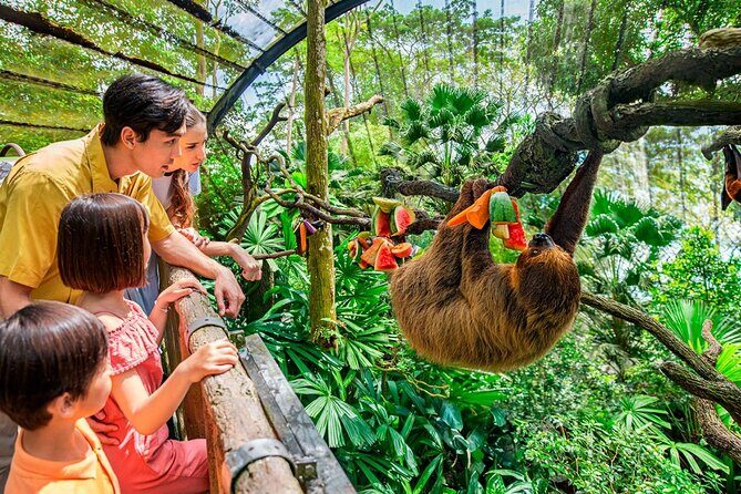 Singapore Zoo - Exploring the Itinerary in Detail