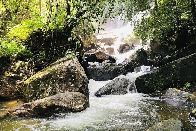 Sinharaja Rain Forest Guided Day Tour - Authentic Wildlife Encounters and Photographic Opportunities