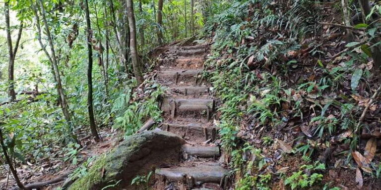 Sinharaja Rainforest Tour - Is It Worth the Price?