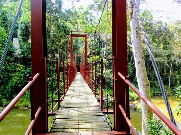 Sinharaja Rainforest Tour - The Real Value of the Tour