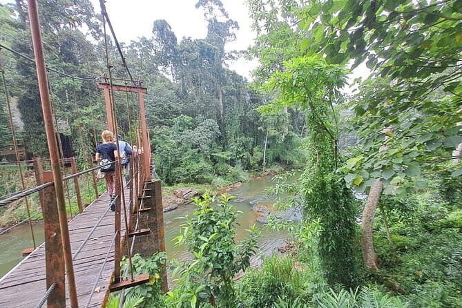 Sinharaja Rainforest Trip - What Travelers Say: Authentic Feedback