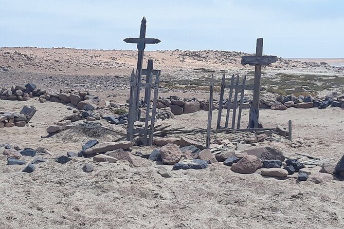Skeleton Coast Cape Cross Seal colony Tour - Price and Value