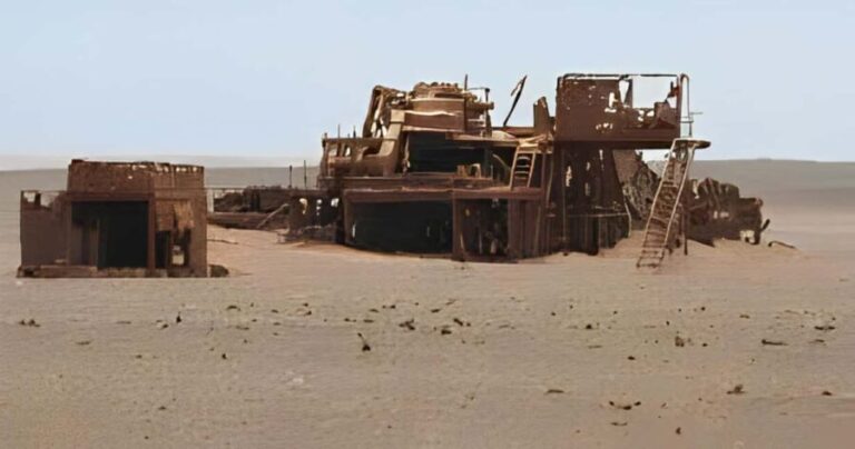 Skeleton Coast Park & Ship Wrecks - Analyzing the Value of the Tour