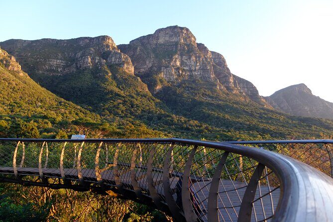 Skeleton Gorge Hike up Table Mountain - The Value of a Guided Forested Climb