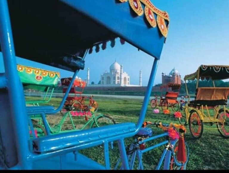 Skip The Line Agra Tour With Tuk Tuk & Live Guide - The Transportation – Tuk Tuks and Convenience