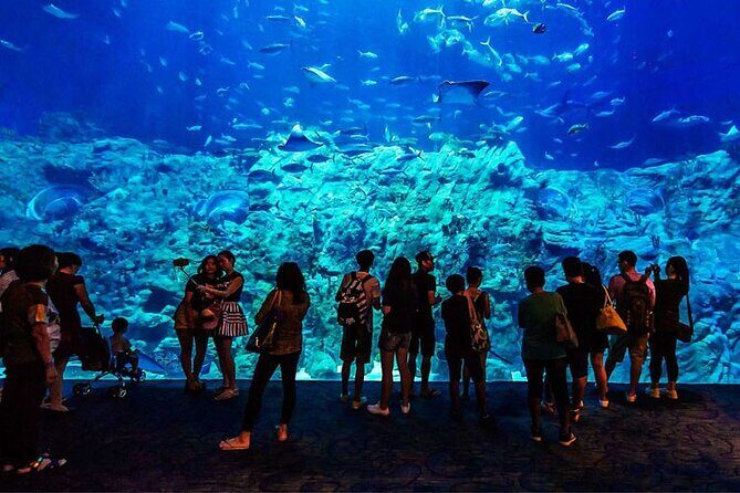 Skip the Line Hurghada Grand Aquarium transfer & entrance - How This Tour Enhances Your Hurghada Trip