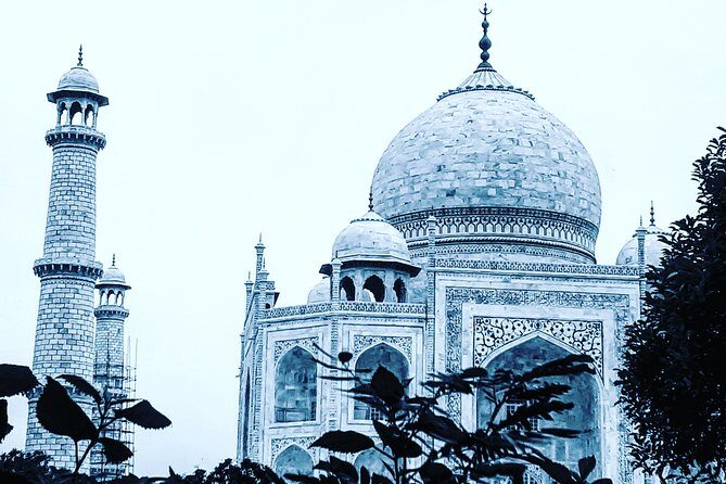 Skip the line with Private Tour Guide for Taj Mahal & Agra Fort - The Practical Side of the Tour